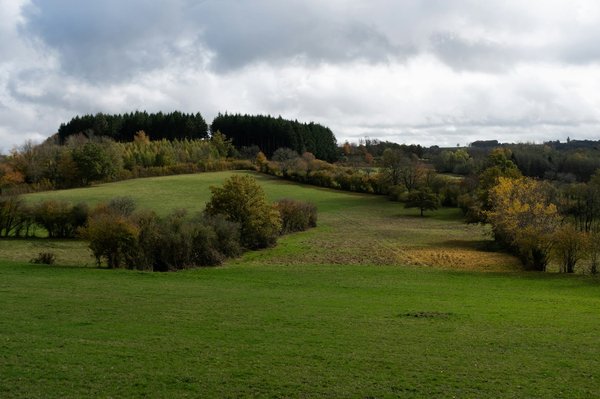 Wie gestaltet man eine digitale Schatzsuche für Geburtstagspartys?